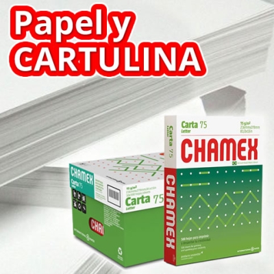 Papel y Cartulina